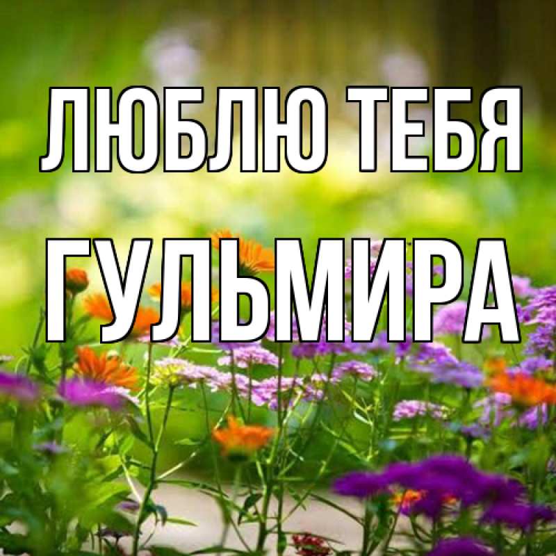 Картинка Люблю тебя, Гульмира
