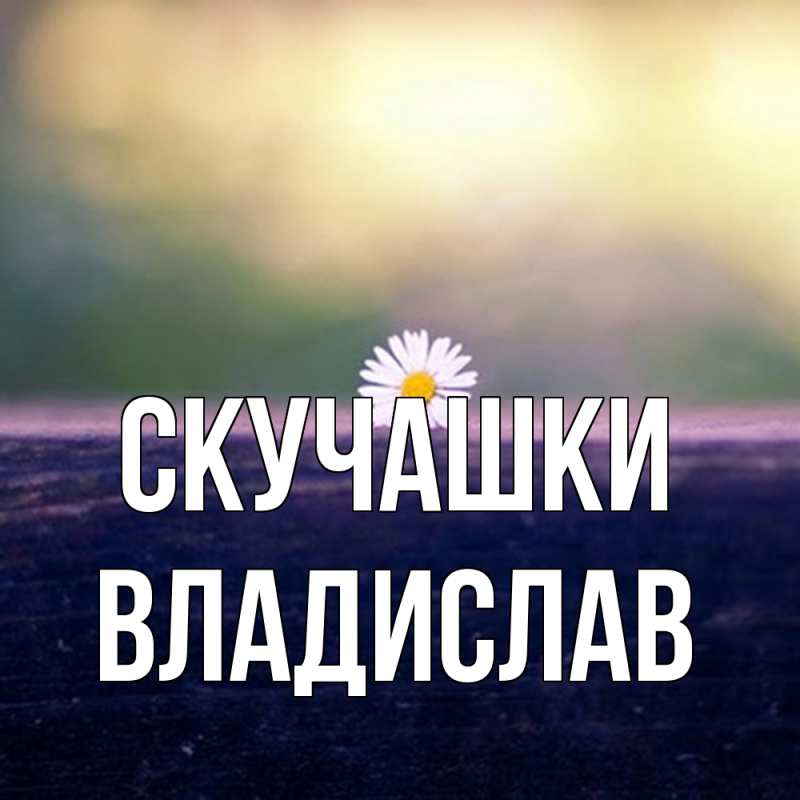 Картинка Скучашки, Владислав