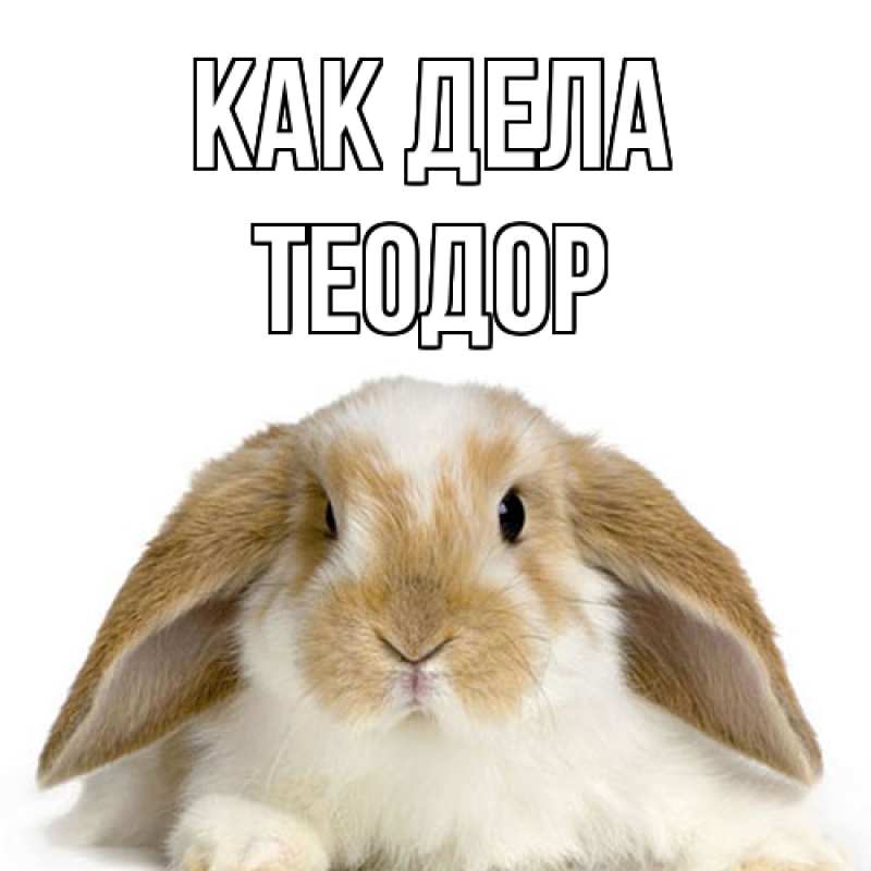 Открытка с именем, Теодор, Как дела