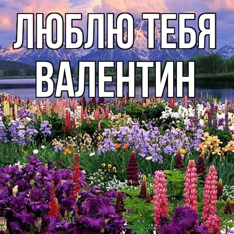 Картинка Люблю тебя, Валентин