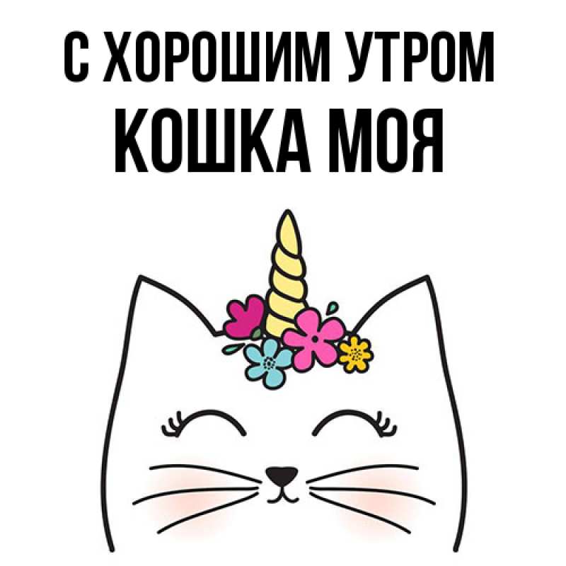 Картинка С хорошим утром, Кошка моя