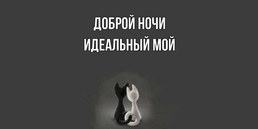Открытка на каждый день с именем, Идеальный-мой Доброй ночи коты Прикольная открытка с пожеланием онлайн скачать бесплатно 