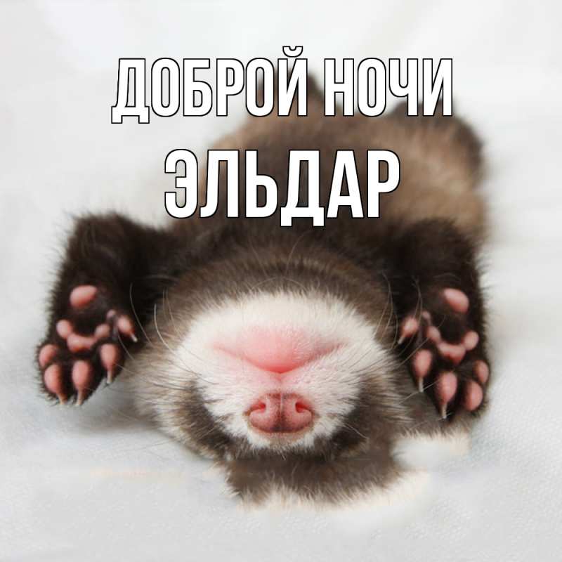 Картинка Доброй ночи, Эльдар