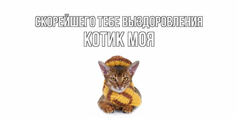 Картинка Скорейшего тебе выздоровления, Котик моя
