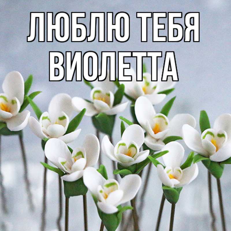 Картинка Люблю тебя, Виолетта