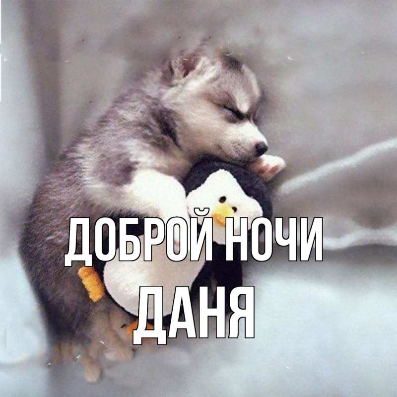 Картинка Доброй ночи, Даня
