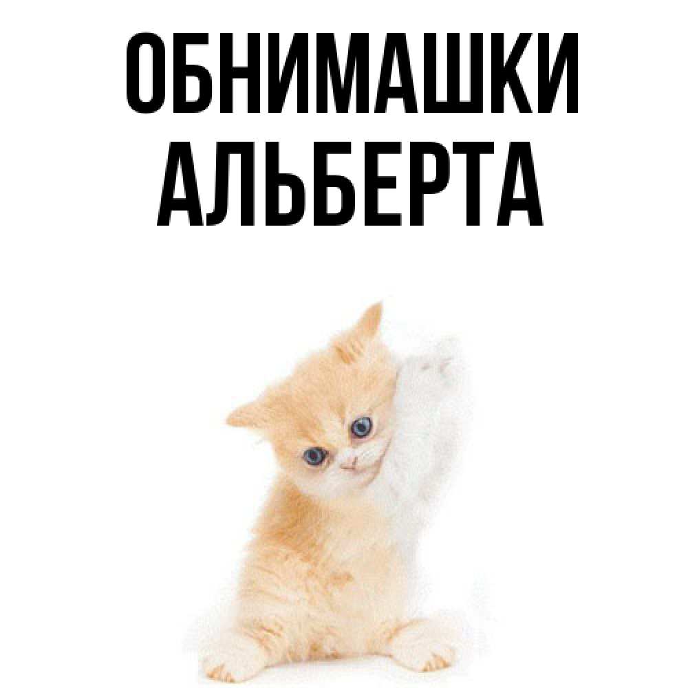Открытка на каждый день с именем, Альберта Обнимашки я хочу очень скорее обнимаешек Прикольная открытка с пожеланием онлайн скачать бесплатно 