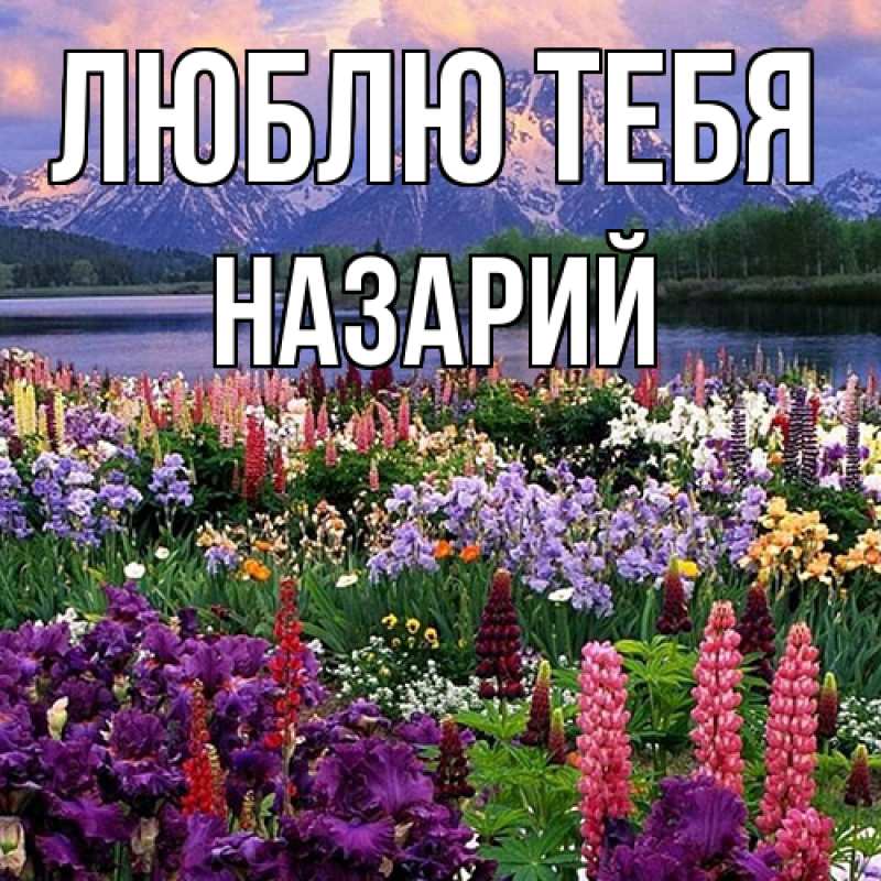 Открытка с именем, Назарий, Люблю тебя