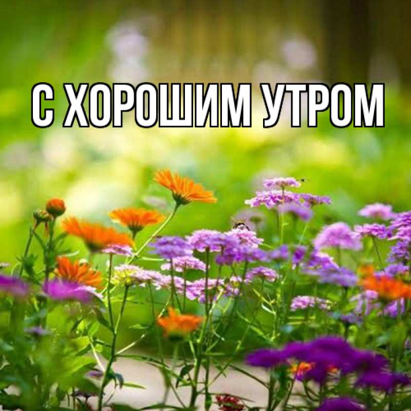 Картинка Люблю тебя, Таня
