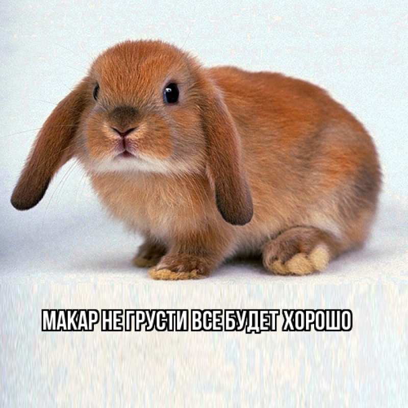 Картинка Не грусти, все будет хорошо, Макар