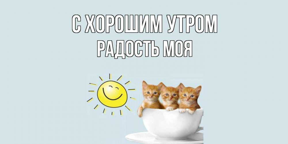 Открытка на каждый день с именем, Радость-моя С хорошим утром котята Прикольная открытка с пожеланием онлайн скачать бесплатно 