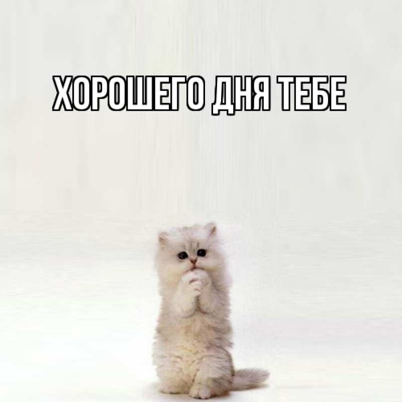 Картинка Обнимашки, Израиль