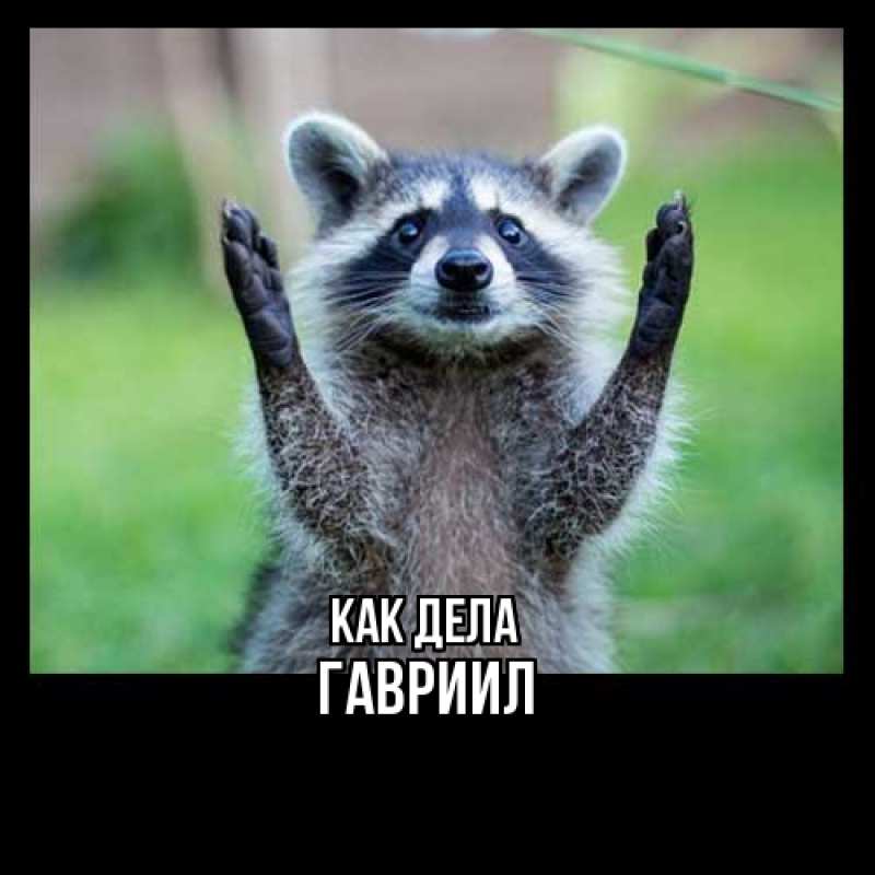 Картинка Как дела, Гавриил