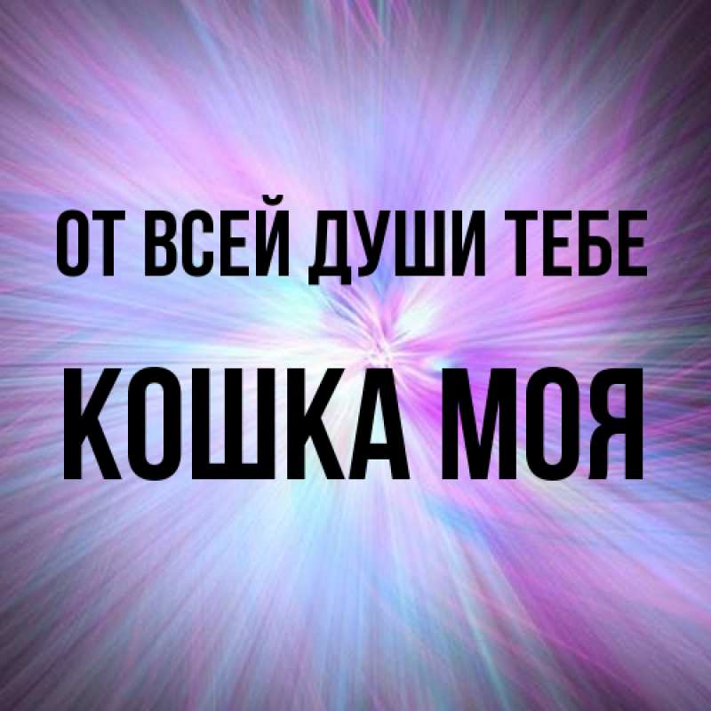 Картинка От всей души тебе, Кошка моя