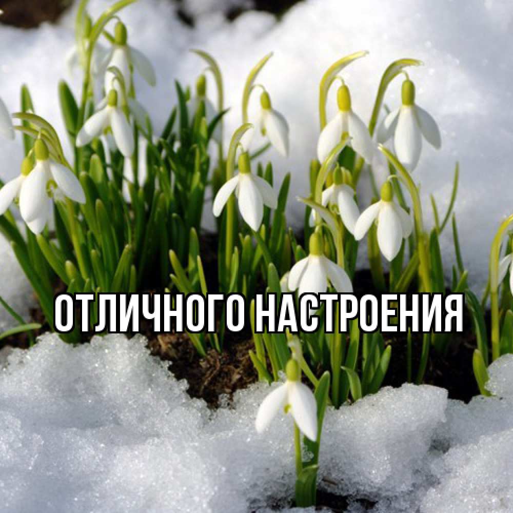 Открытка на каждый день с именем, Габриэлла Люблю тебя цветы весенние Прикольная открытка с пожеланием онлайн скачать бесплатно 
