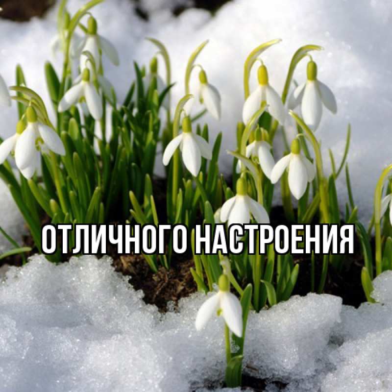 Картинка Люблю тебя, Габриэлла
