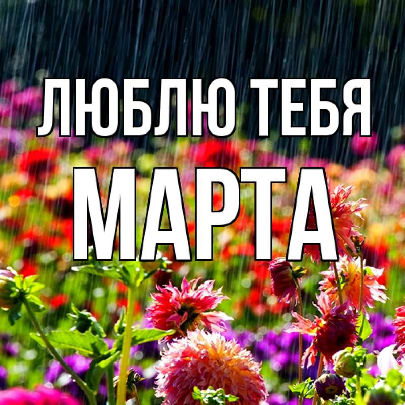 Картинка Люблю тебя, Марта