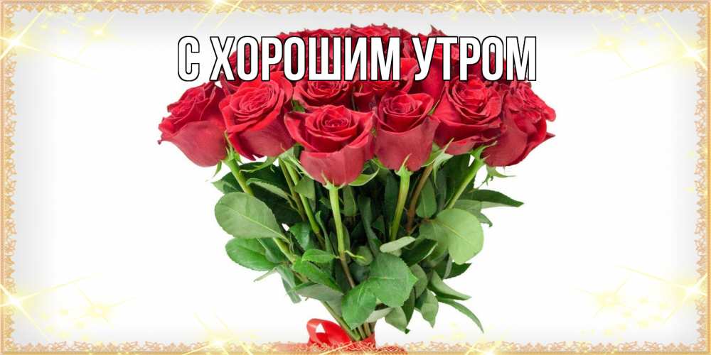 Открытка на каждый день с именем, Даша Люблю тебя самый огромный букет для милых дам Прикольная открытка с пожеланием онлайн скачать бесплатно 