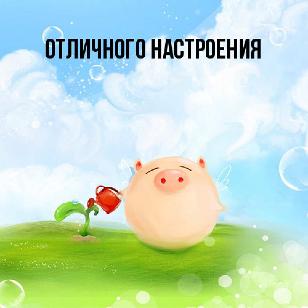Открытка на каждый день с именем, Киска-моя Я жду тебя позитивная свинюшка Прикольная открытка с пожеланием онлайн скачать бесплатно 
