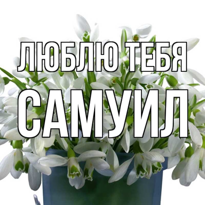 Картинка Люблю тебя, Самуил