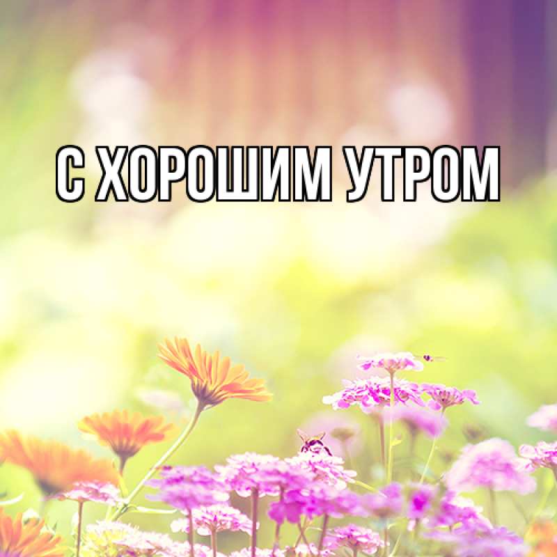 Картинка Люблю тебя, Таня
