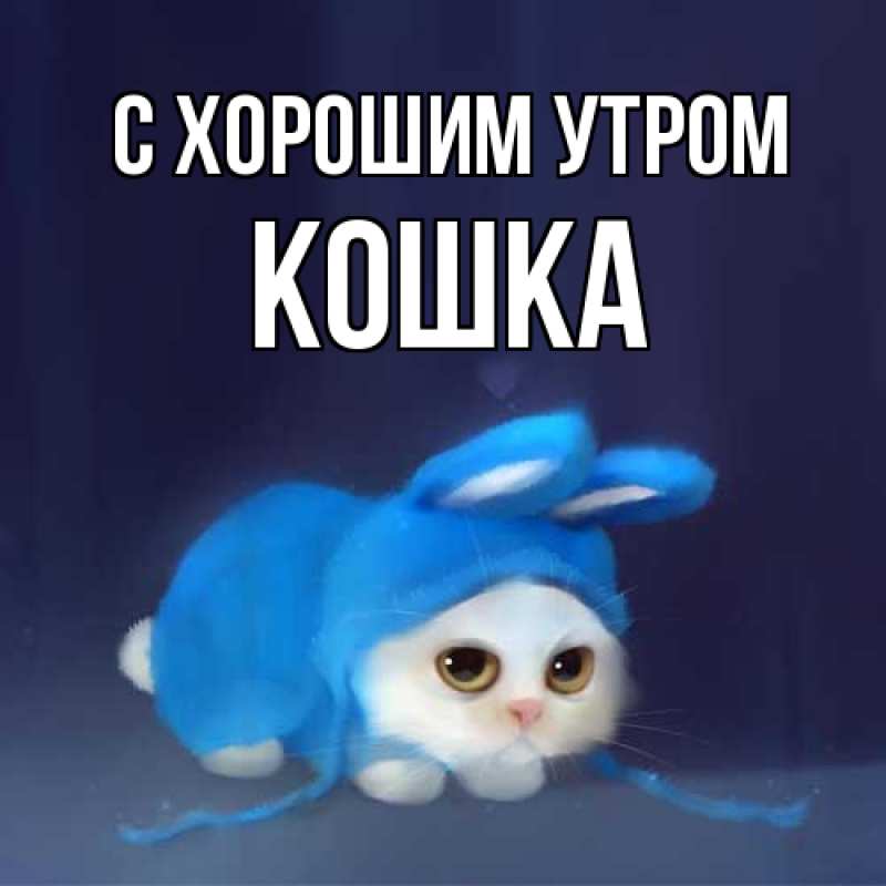 Картинка С хорошим утром, Кошка