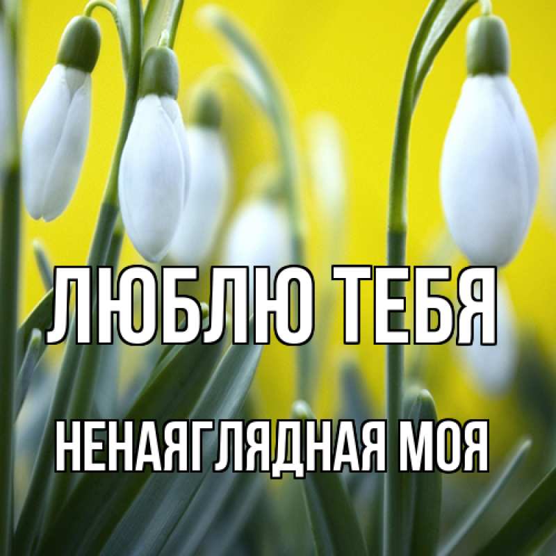 Картинка Люблю тебя, Ненаяглядная моя