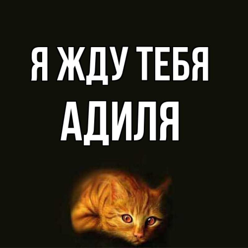 Картинка Я жду тебя, Адиля