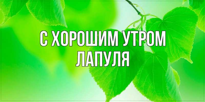 Открытка с именем, Лапуля, С хорошим утром