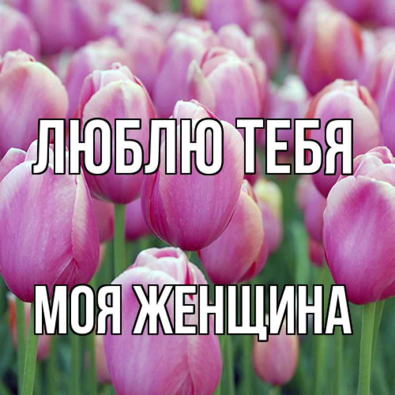 Картинка Люблю тебя, Моя женщина
