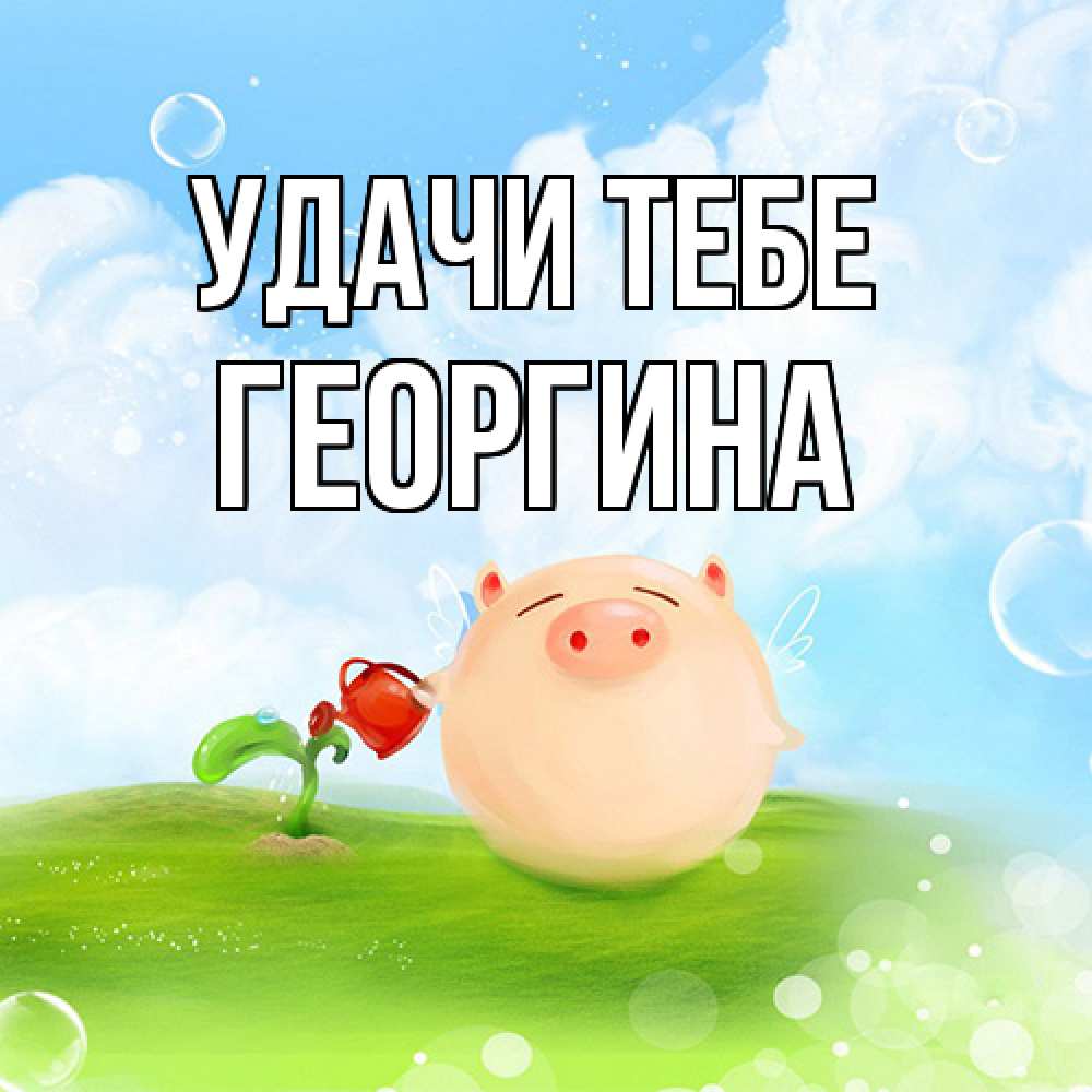 Открытка на каждый день с именем, Георгина Удачи тебе поросенок поливает цветок. летнее настроение Прикольная открытка с пожеланием онлайн скачать бесплатно 