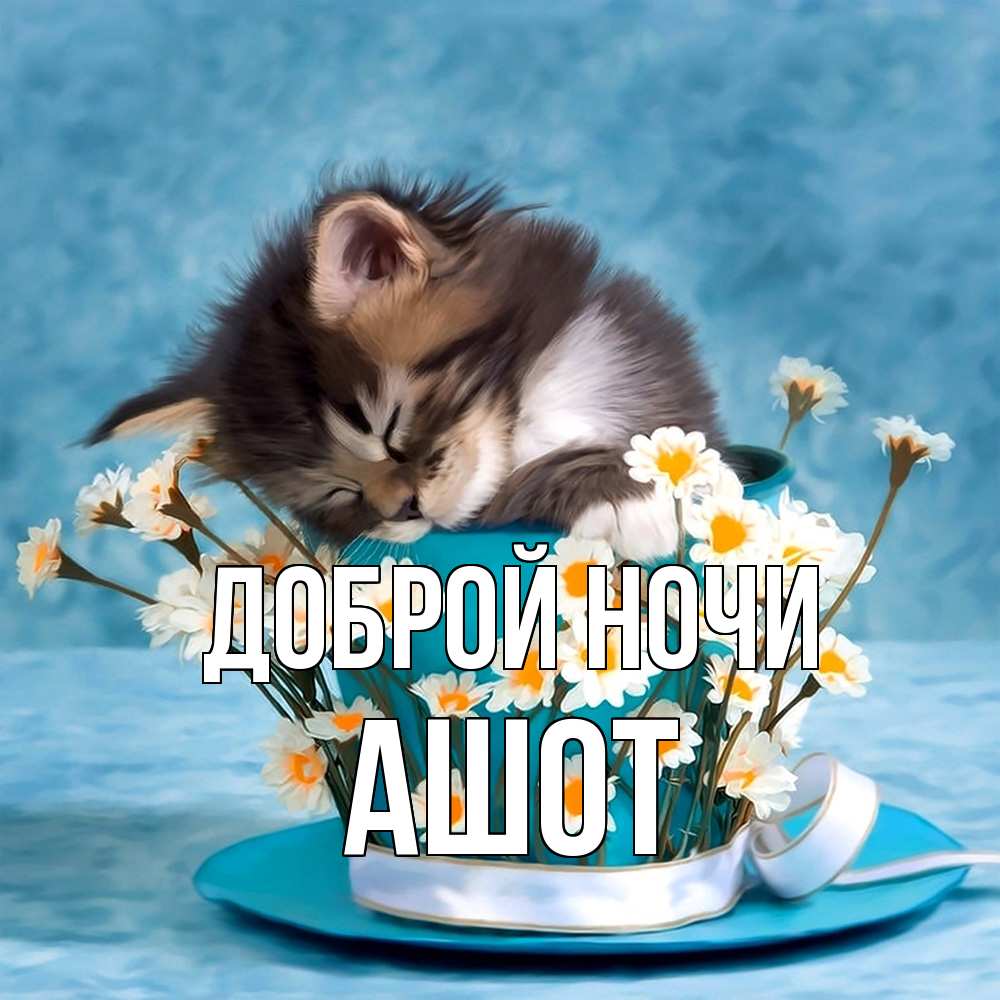 Открытка на каждый день с именем, Ашот Доброй ночи котенок спит в кружке с блюдцем Прикольная открытка с пожеланием онлайн скачать бесплатно 