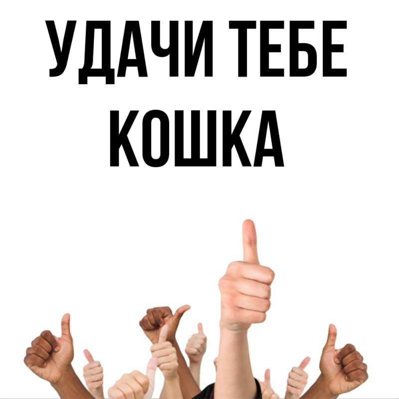 Картинка Удачи тебе, Кошка