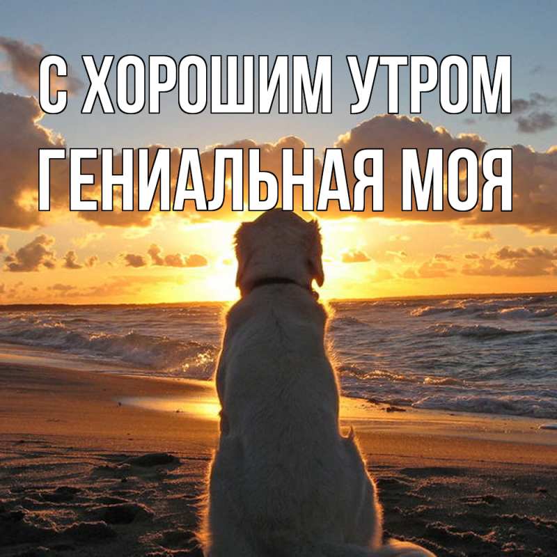 Картинка С хорошим утром, Гениальная моя
