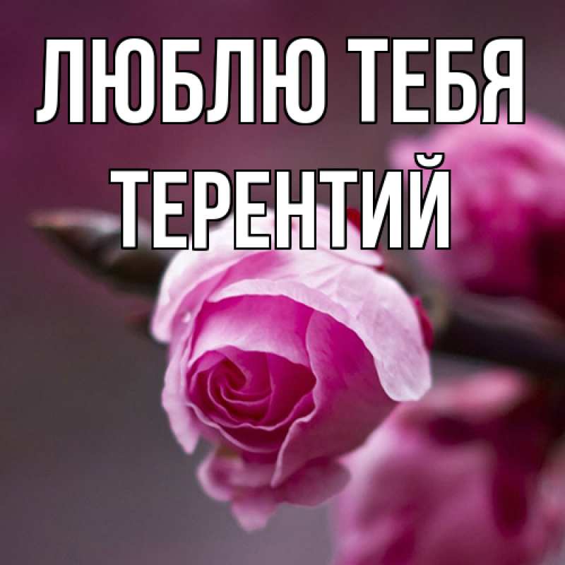 Открытка с именем, Терентий, Люблю тебя