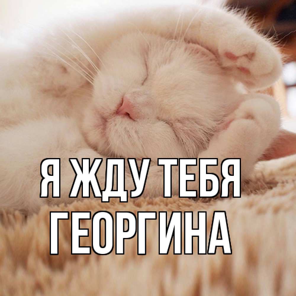 Открытка на каждый день с именем, Георгина Я жду тебя для любимой девушки милота Прикольная открытка с пожеланием онлайн скачать бесплатно 