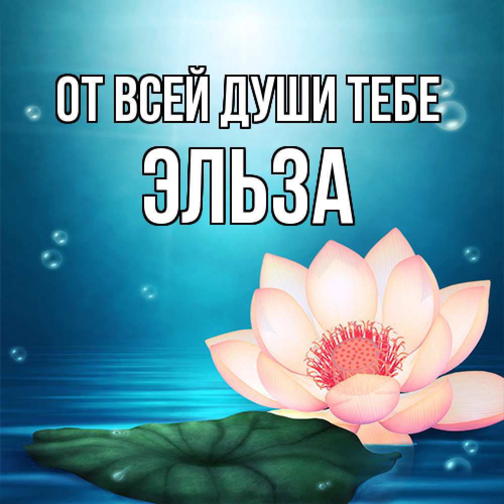 Открытка на каждый день с именем, Эльза От всей души тебе кувшинка Прикольная открытка с пожеланием онлайн скачать бесплатно 
