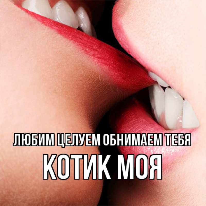 Картинка Любим целуем обнимаем тебя, Котик моя