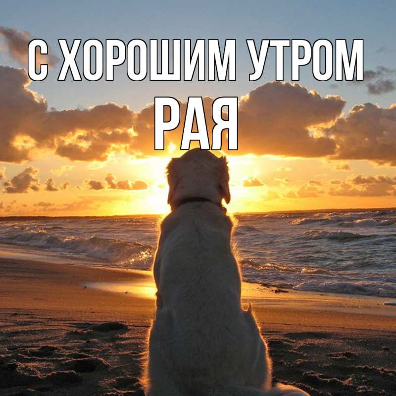 Картинка С хорошим утром, Рая