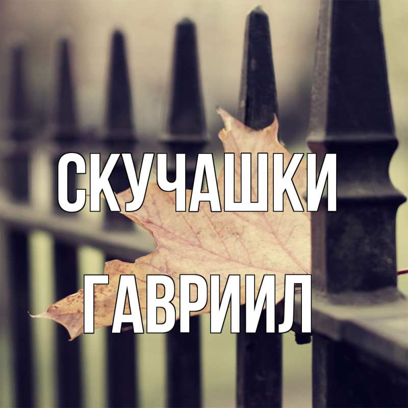 Картинка Скучашки, Гавриил