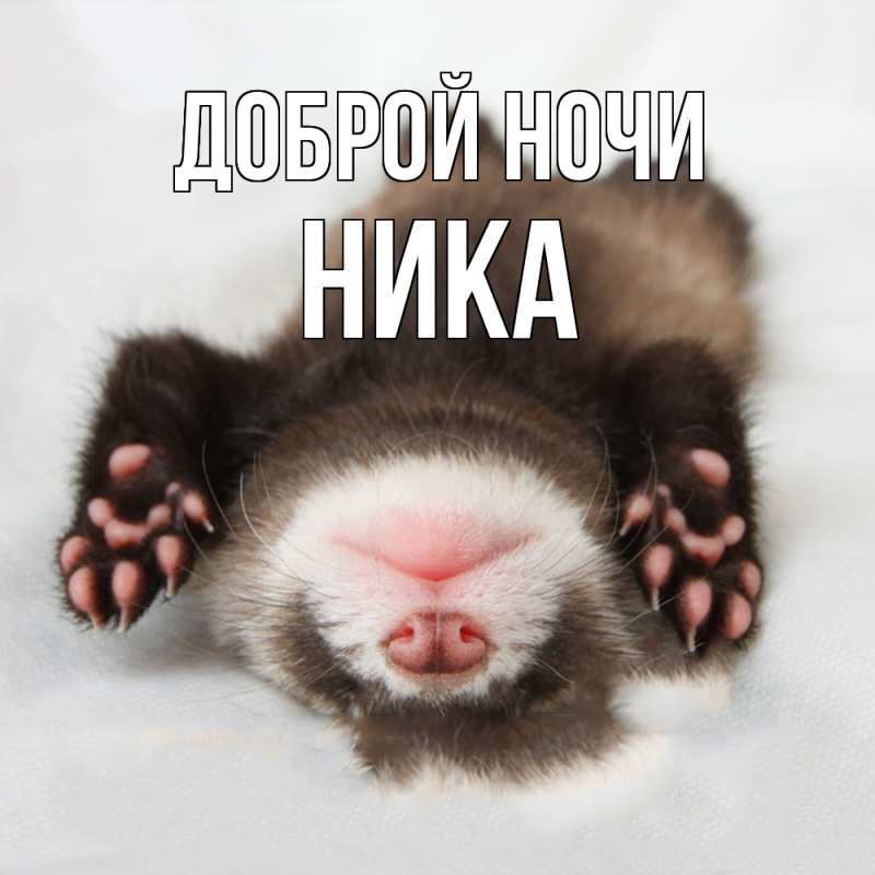 Картинка Доброй ночи, Ника