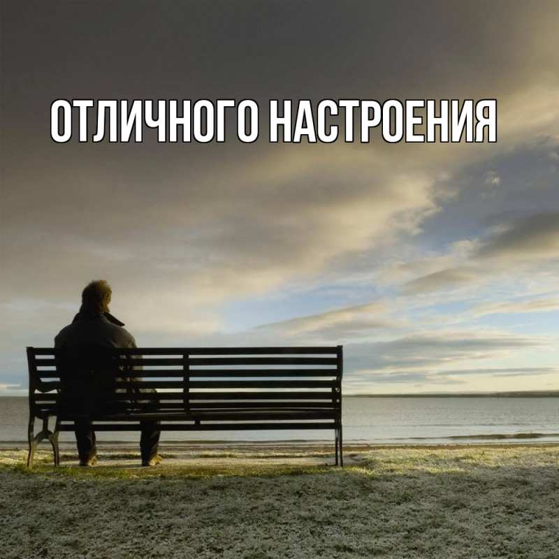 Картинка Скучашки, Песподобная