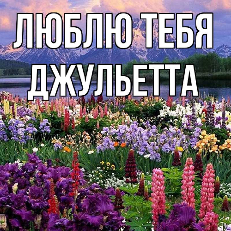 Картинка Люблю тебя, Джульетта