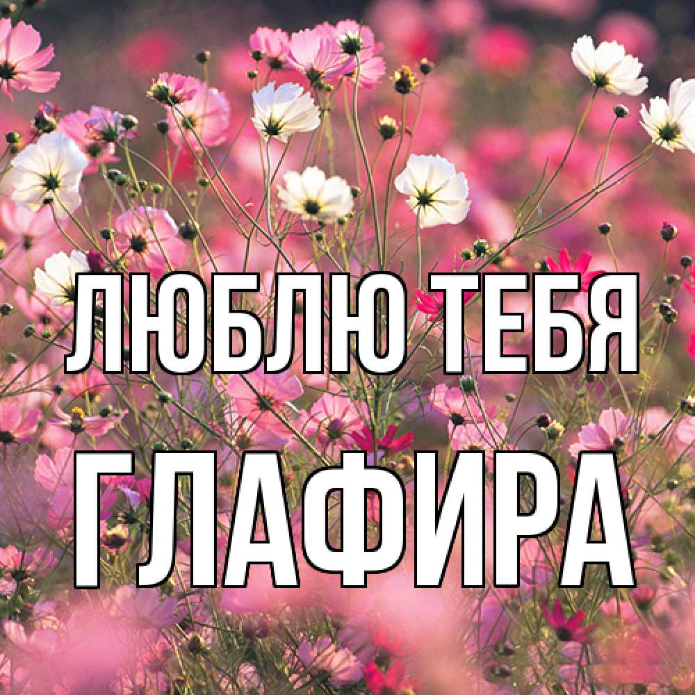 Открытка на каждый день с именем, Глафира Люблю тебя красиво 1 Прикольная открытка с пожеланием онлайн скачать бесплатно 