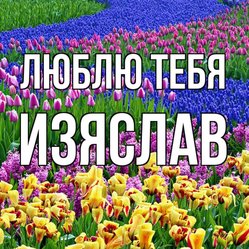 Открытка с именем, Изяслав, Люблю тебя