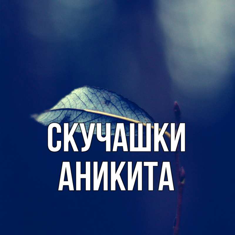 Открытка с именем, Аникита, Скучашки