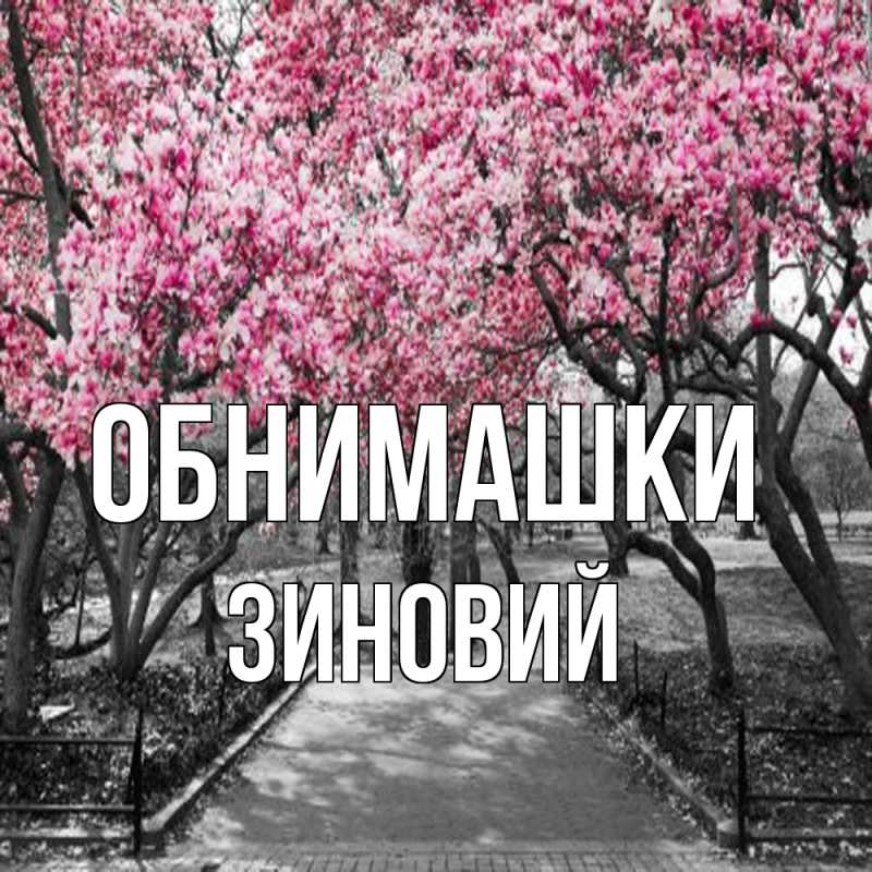 Открытка с именем, Зиновий, Обнимашки