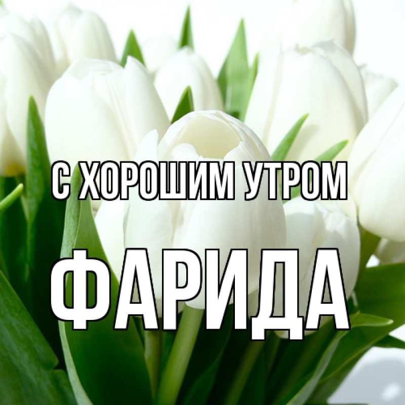 Картинка С хорошим утром, Фарида