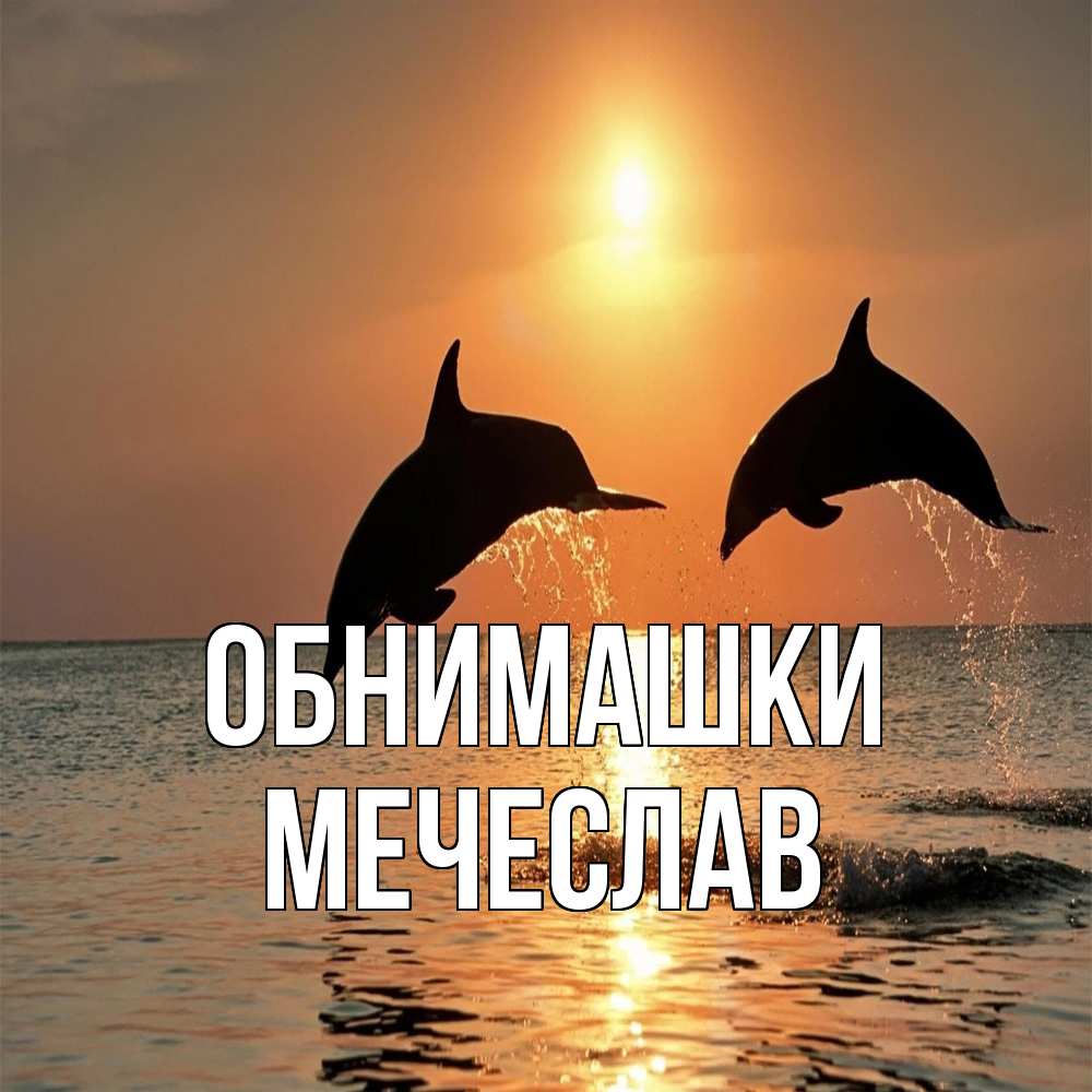 Открытка на каждый день с именем, Мечеслав Обнимашки рыбы на закате Прикольная открытка с пожеланием онлайн скачать бесплатно 