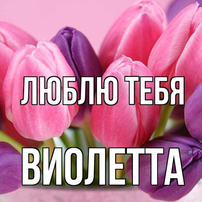 Картинка Люблю тебя, Виолетта